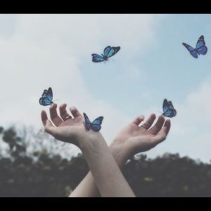 Meet your Posher, Maggie